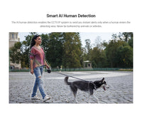 ANNKE 3MP WiFi Video Surveillance System 5MP NVR 4X 3MP Ip Camera Audio Recording Security Cameras AI Detection CCTV Cameras Kit