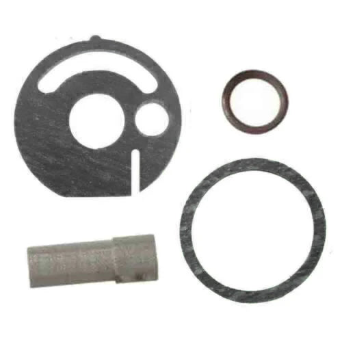 Diesel Parking Heater Strainer Gasket Repair Kit Strainer For Eberspacher Hydronic D5WZ D5WS D3WZ B4WSC Strainer O-Ring Hot Sale