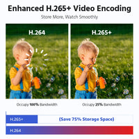 ANNKE 8MP Camera Security Dual Lens Human Detect Two Way Audio 180° Wide View Angle Panoramic Dual Lens Poe IP Camera